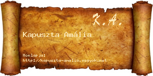 Kapuszta Amália névjegykártya
